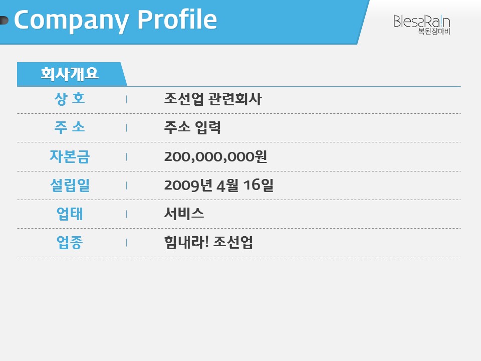 company profile1